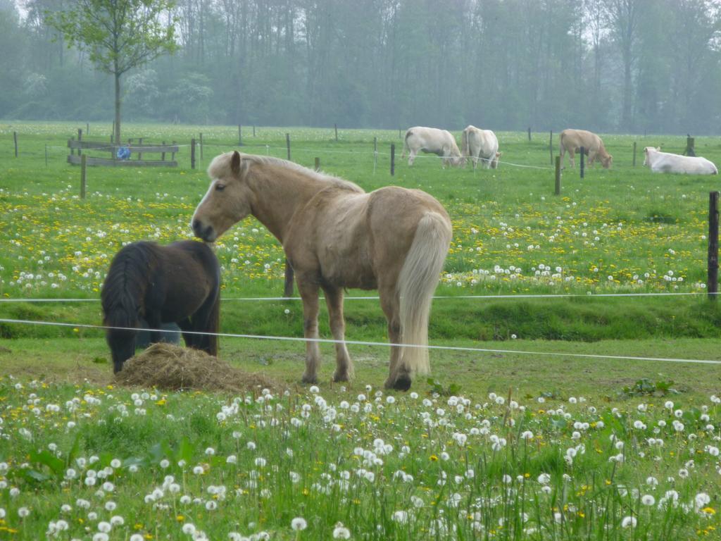 De Langenlee Bed & Breakfast Zwolle  Eksteriør bilde