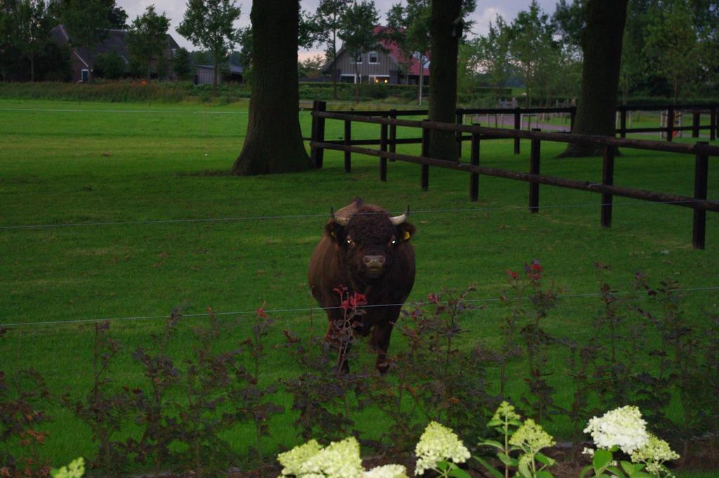 De Langenlee Bed & Breakfast Zwolle  Eksteriør bilde